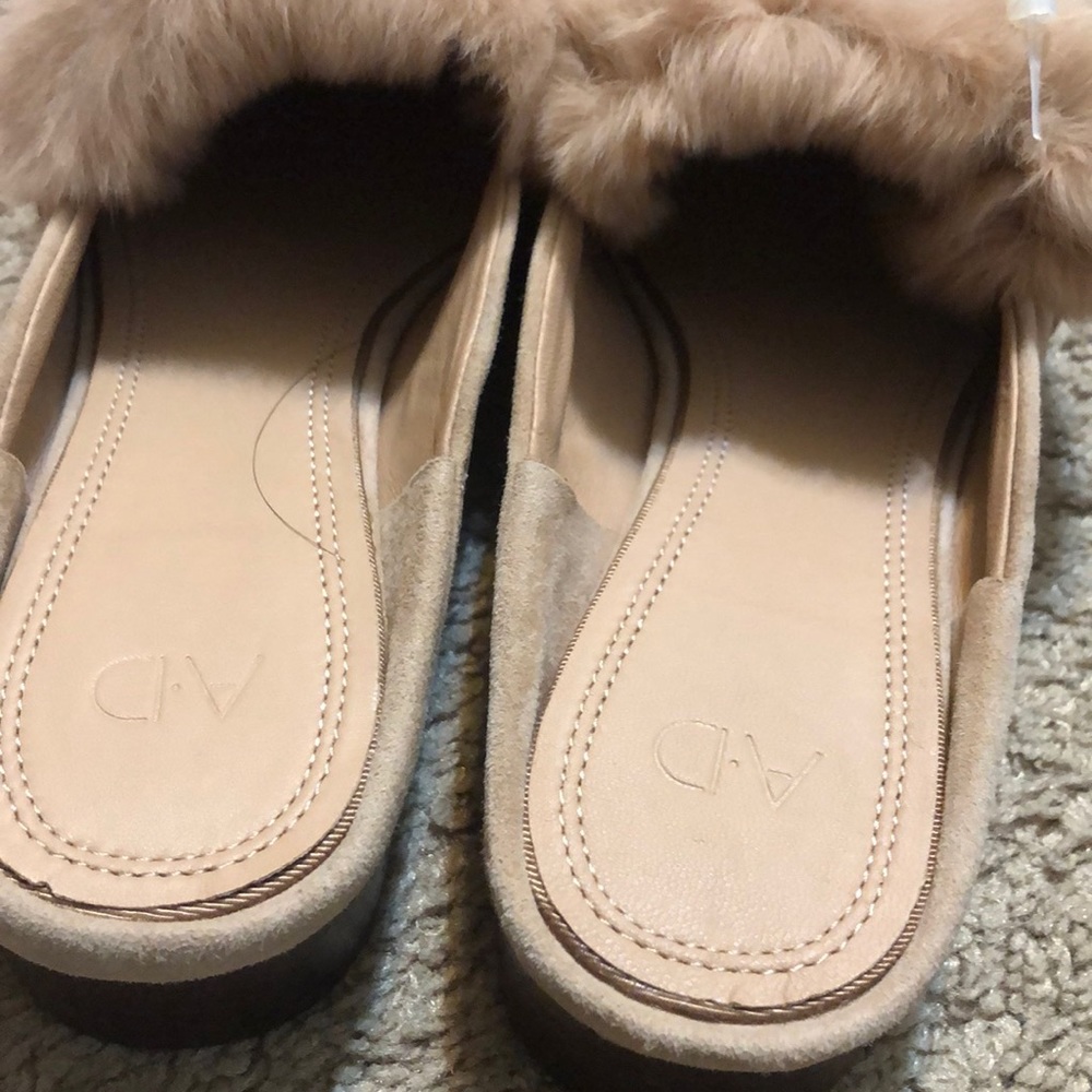 Shoes - Picture 7 of 8